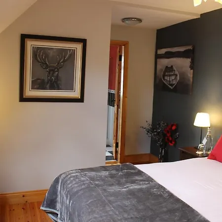 Bed & Breakfast The Celtic