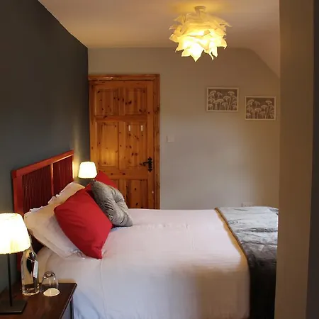 Bed & Breakfast The Celtic *