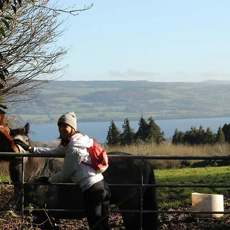 Bed & Breakfast The Celtic